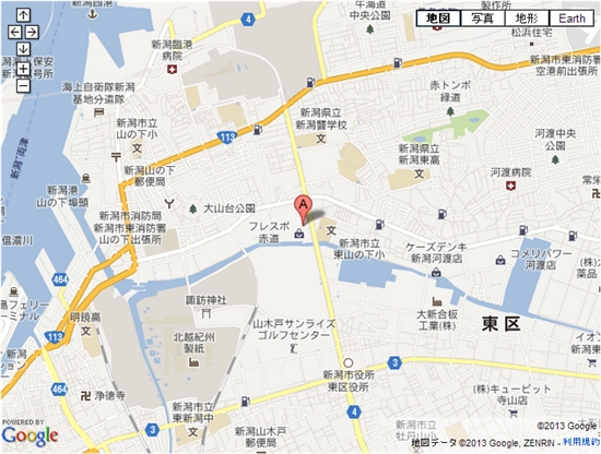 �z���f�C�X�|�[�c�N���u�@�ԓ��@����