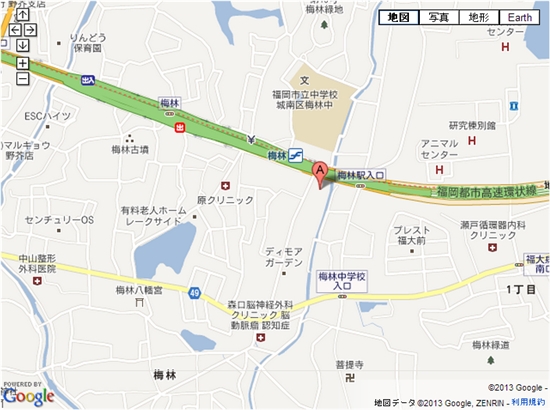 ホリデイスポーツクラブ 梅林 料金